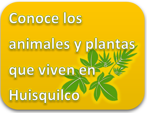 CLIC PARA ENTRAR