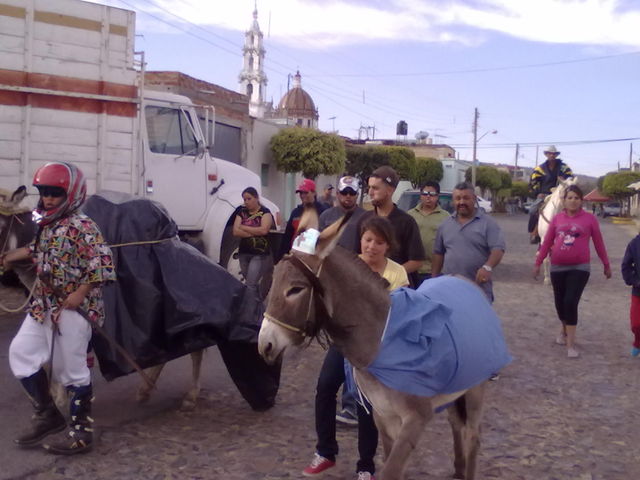 Para escribir un comentario es necesario ser usuario de HuisquilcoJalisco.net