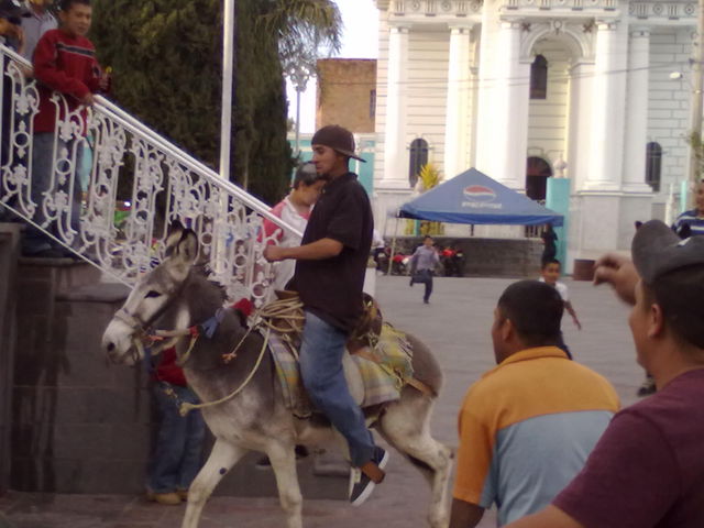 Para escribir un comentario es necesario ser usuario de HuisquilcoJalisco.net