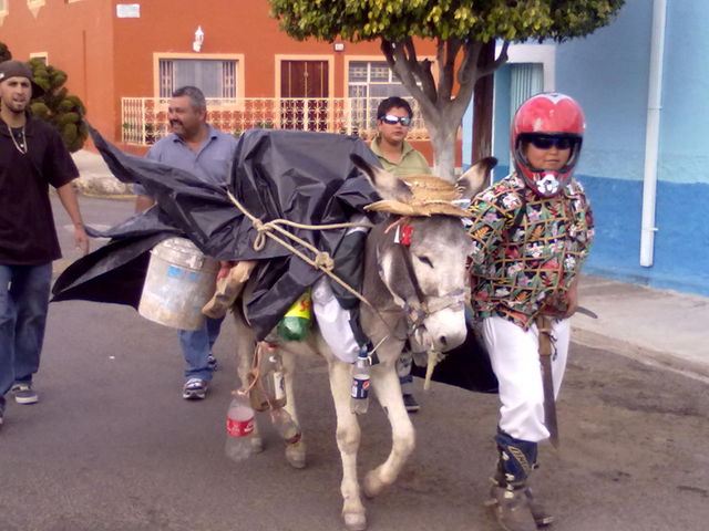 Para escribir un comentario es necesario ser usuario de HuisquilcoJalisco.net