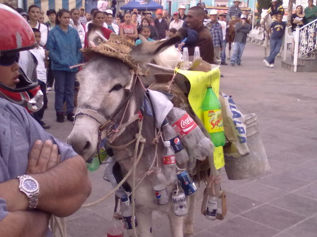 Para escribir un comentario es necesario ser usuario de HuisquilcoJalisco.net

