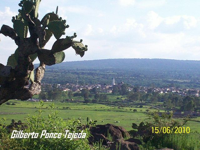 Para escribir un comentario es necesario ser usuario de HuisquilcoJalisco.net
