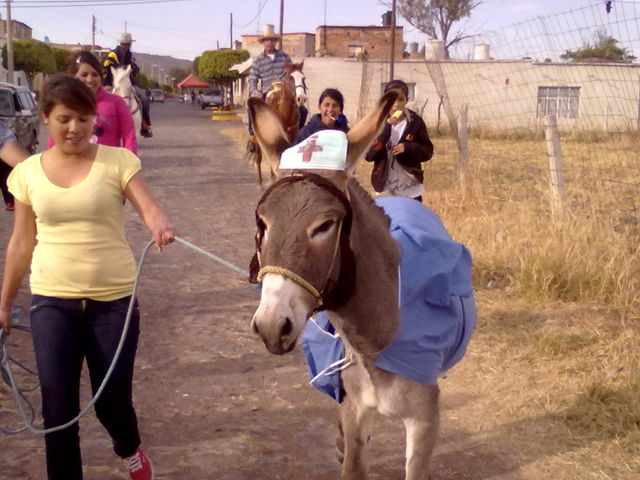 Para escribir un comentario es necesario ser usuario de HuisquilcoJalisco.net