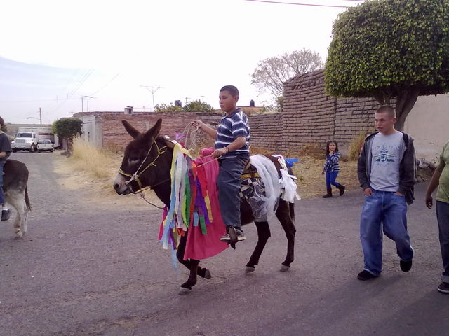 Para escribir un comentario es necesario ser usuario de HuisquilcoJalisco.net